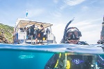 Image of DIVE TUTUKAKA - Northland